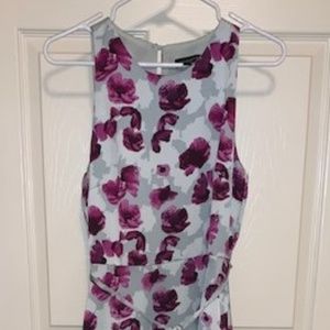 Banana Republic NWT Maxi Dress Size 6 Fully Lined